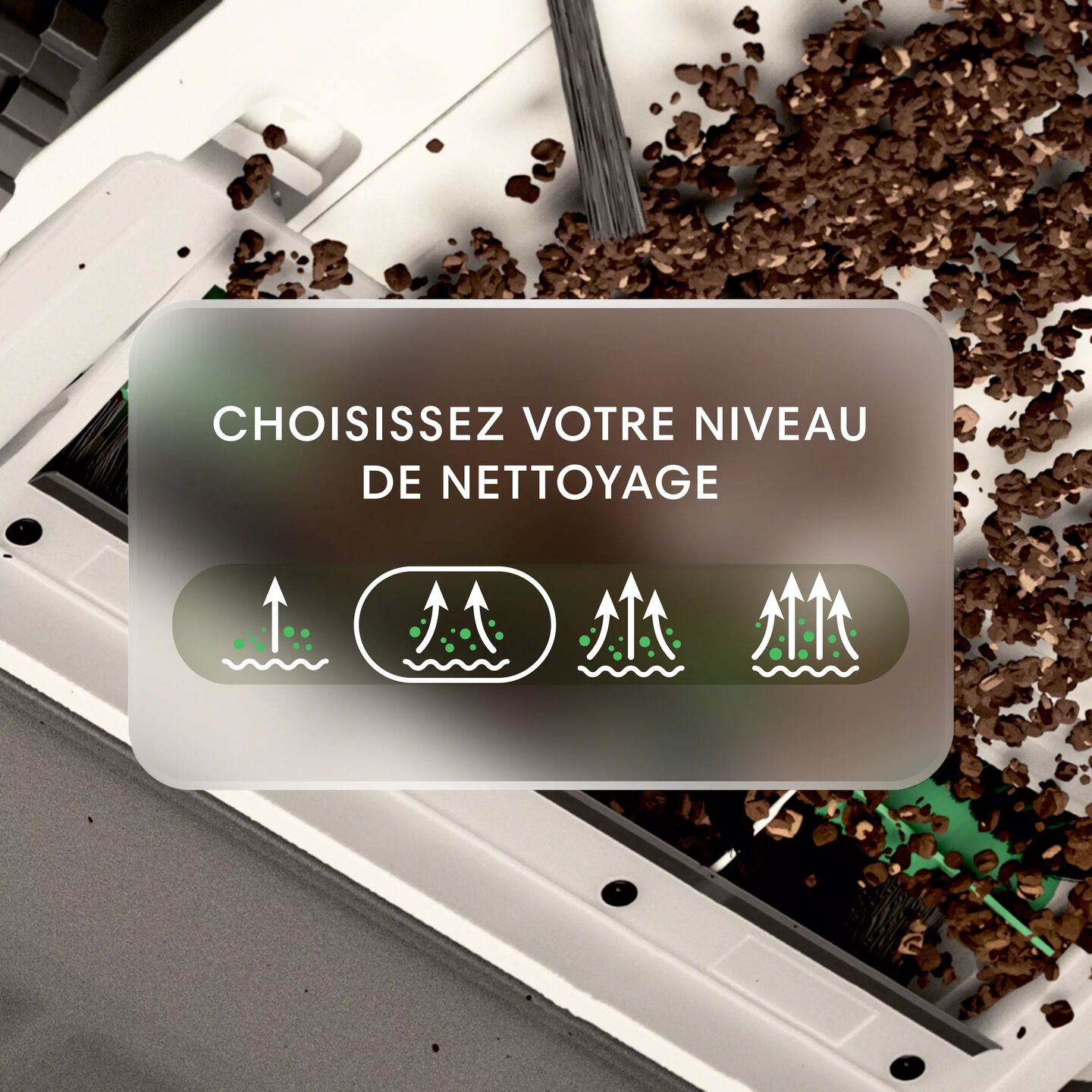 graphic showing cleaning settings